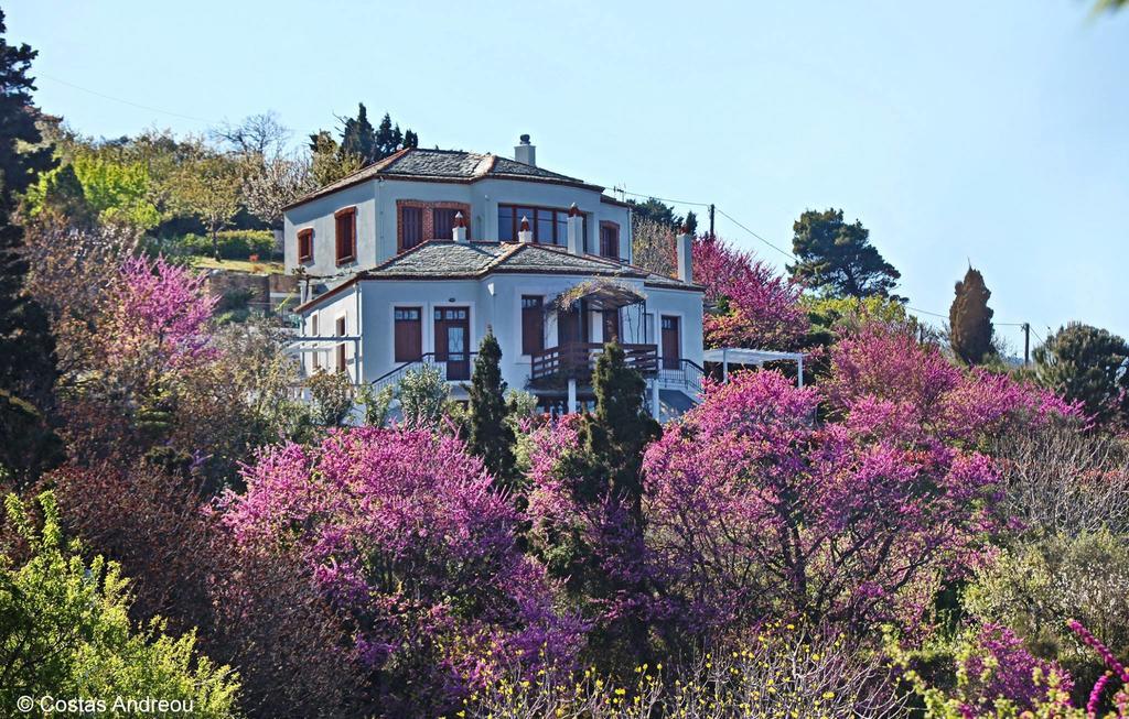 Stolios Appartement Skopelos Buitenkant foto